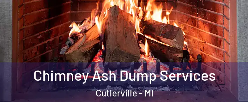  Chimney Ash Dump Services Cutlerville - MI