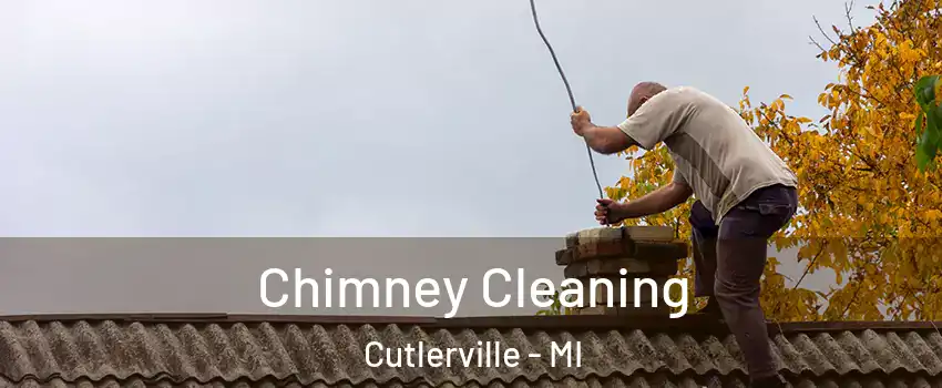  Chimney Cleaning Cutlerville - MI