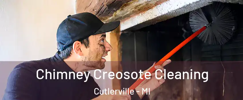  Chimney Creosote Cleaning Cutlerville - MI