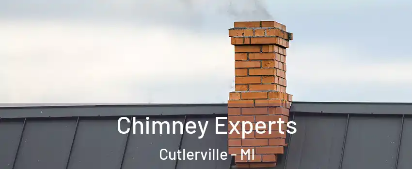 Chimney Experts Cutlerville - MI