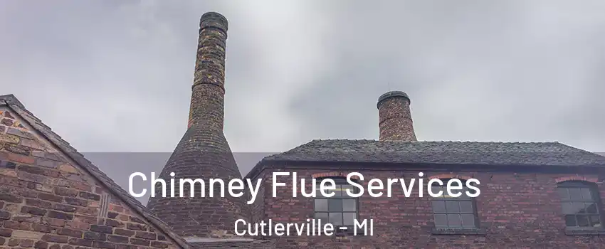  Chimney Flue Services Cutlerville - MI