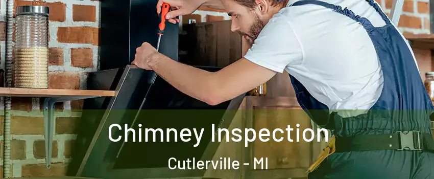  Chimney Inspection Cutlerville - MI