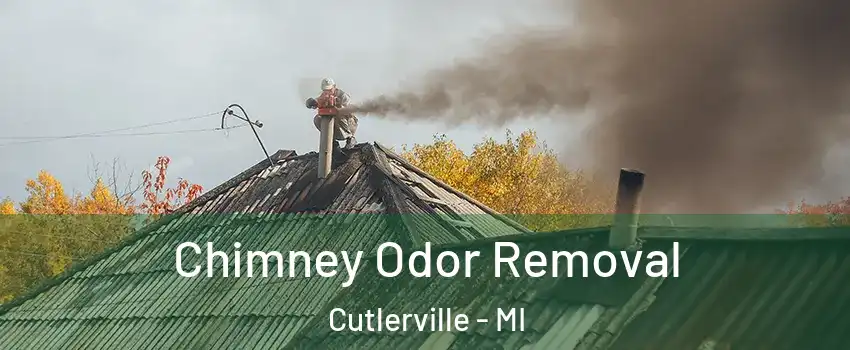  Chimney Odor Removal Cutlerville - MI