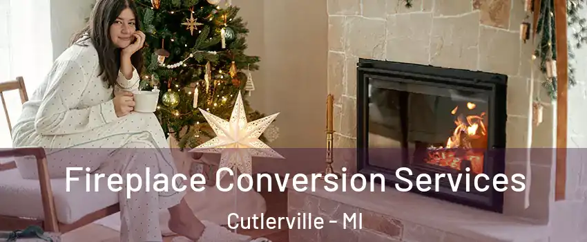  Fireplace Conversion Services Cutlerville - MI