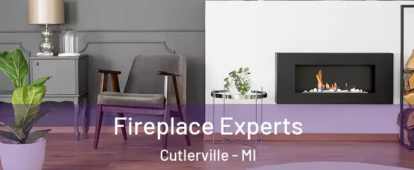  Fireplace Experts Cutlerville - MI