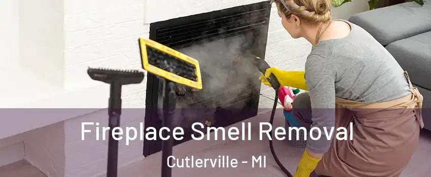  Fireplace Smell Removal Cutlerville - MI