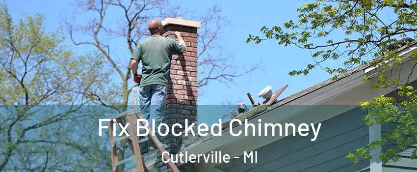  Fix Blocked Chimney Cutlerville - MI