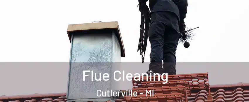  Flue Cleaning Cutlerville - MI
