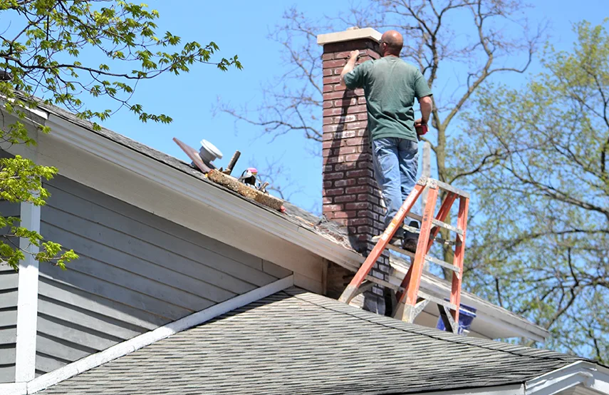 Chimney & Fireplace Inspections Services in Cutlerville, MI