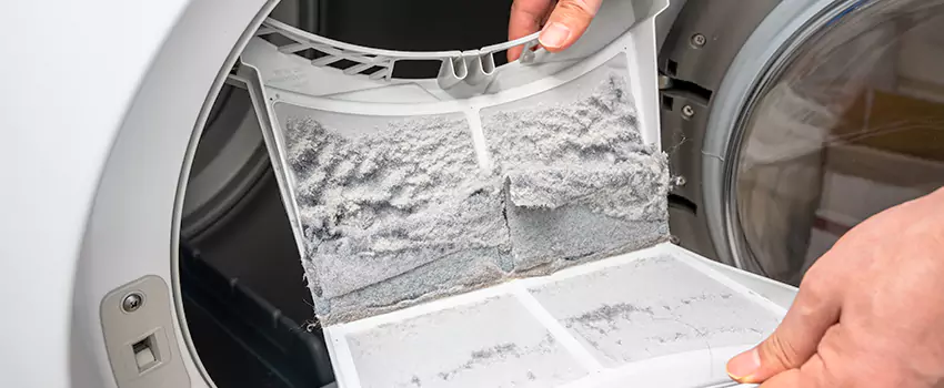 Best Dryer Lint Removal Company in Cutlerville, Michigan