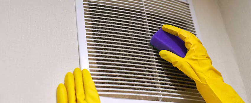 Vent Cleaning Company in Cutlerville, MI
