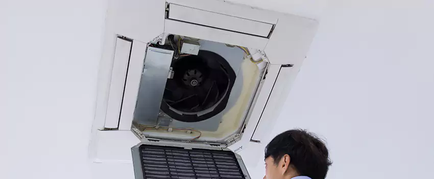 Benefits of Professional Air Duct Cleaning in Cutlerville, Michigan