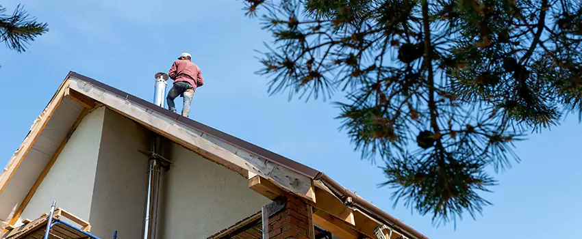Birds Removal Contractors from Chimney in Cutlerville, MI