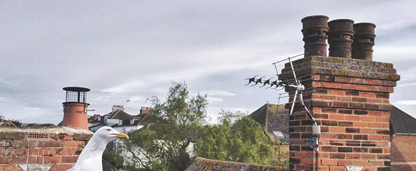 Chimney Cleaning And Restoration in Cutlerville, Michigan