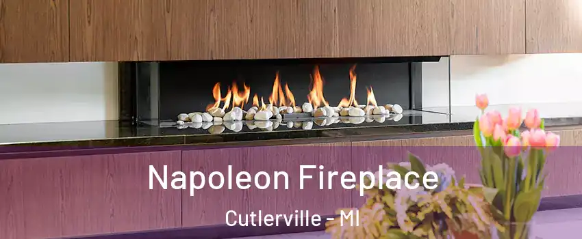  Napoleon Fireplace Cutlerville - MI